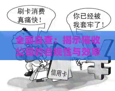 全面自查：揭示公司的合规性与效率分析报告