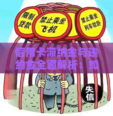 信用卡滞纳金与违约金全面解析：如何避免逾期费用并合理使用信用卡
