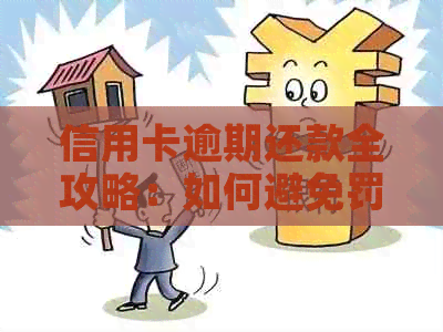 信用卡逾期还款全攻略：如何避免罚息、期利息和信用记录受损？