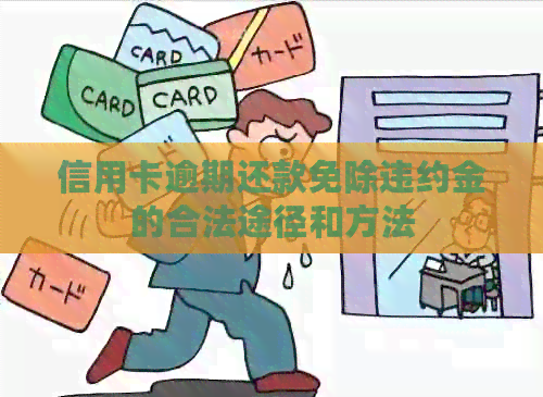 信用卡逾期还款免除违约金的合法途径和方法