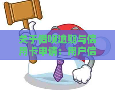 关于网贷逾期与信用卡申请：用户信息查看、处理流程及相关影响全解析