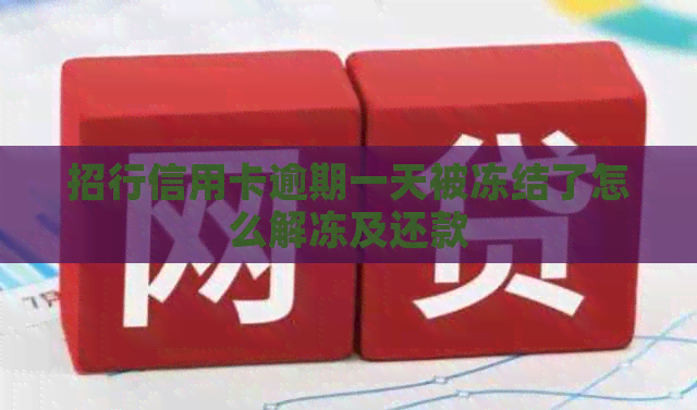 招行信用卡逾期一天被冻结了怎么解冻及还款