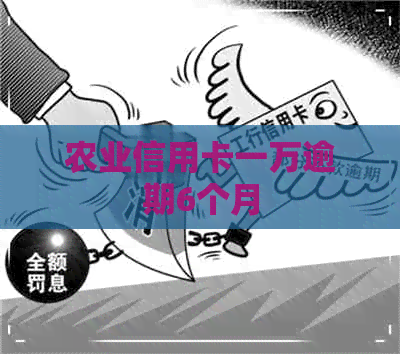 农业信用卡一万逾期6个月
