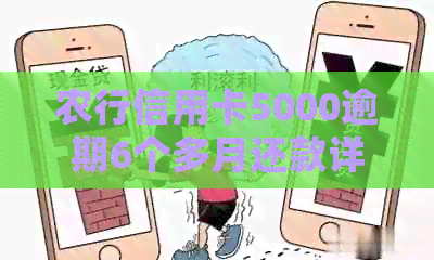 农行信用卡5000逾期6个多月还款详情，如何处理以及可能的后果。