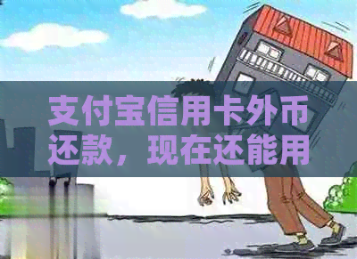 支付宝信用卡外币还款，现在还能用吗？