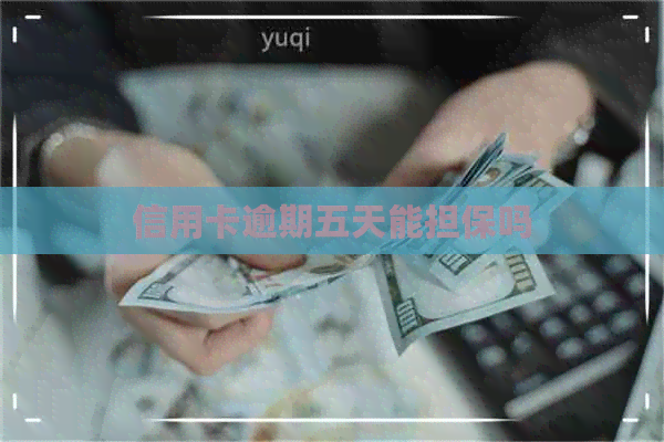 信用卡逾期五天能担保吗