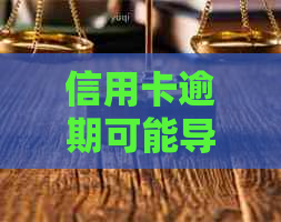 信用卡逾期可能导致的后果及是否会立案调查：全面解析