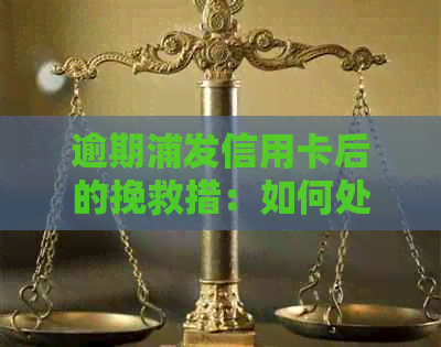 逾期浦发信用卡后的挽救措：如何处理和解决？