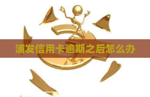 浦发信用卡逾期之后怎么办