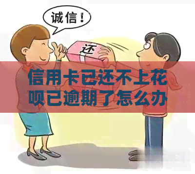 信用卡已还不上信用卡已逾期了怎么办
