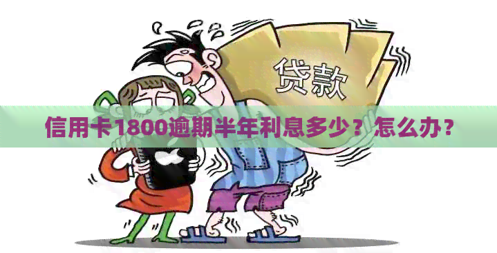 信用卡1800逾期半年利息多少？怎么办？