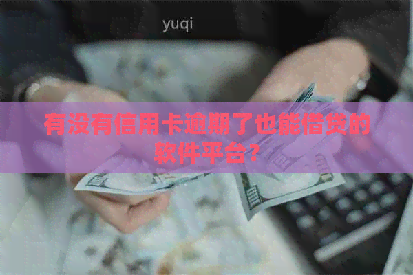有没有信用卡逾期了也能借贷的软件平台？