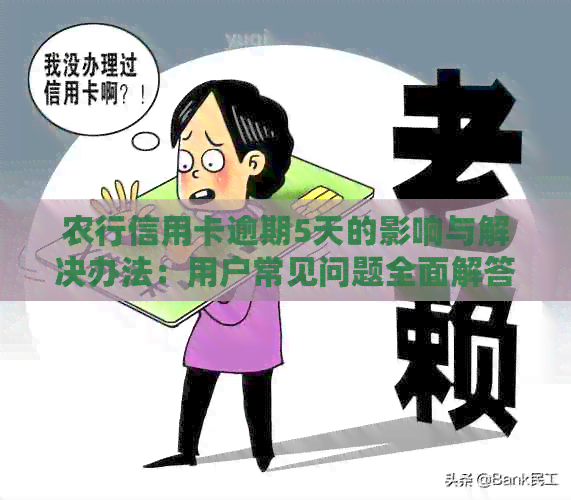 农行信用卡逾期5天的影响与解决办法：用户常见问题全面解答