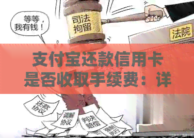 支付宝还款信用卡是否收取手续费：详细解答与分析