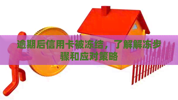 逾期后信用卡被冻结，了解解冻步骤和应对策略