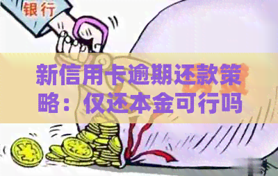 新信用卡逾期还款策略：仅还本金可行吗？如何避免额外罚息和信用损失？