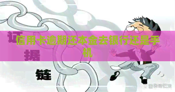 信用卡逾期还本金去银行还是手机