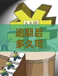 逾期后多久可以办理信用卡业务、还款、借款以及再次申请