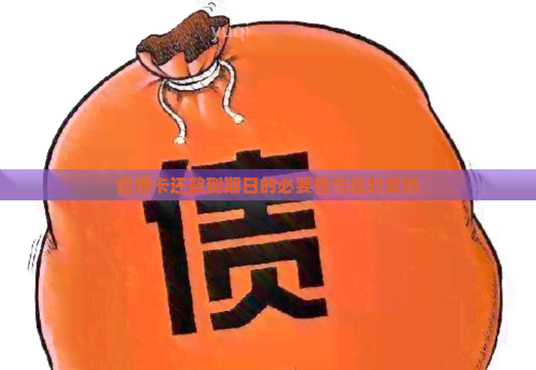 信用卡还款到期日的必要性与应对策略