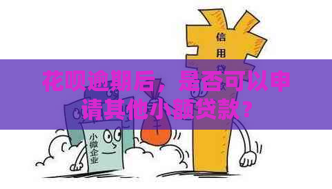 信用卡逾期后，是否可以申请其他小额贷款？