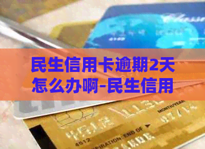 民生信用卡逾期2天怎么办啊-民生信用卡逾期2天怎么办啊