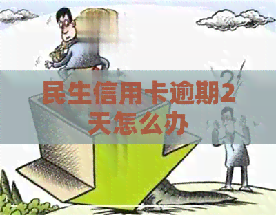 民生信用卡逾期2天怎么办