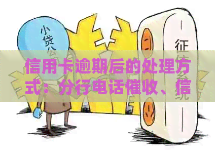 信用卡逾期后的处理方式：分行电话、信用记录影响及解决方案全面解析