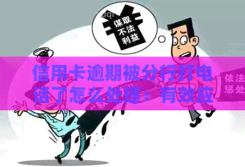 信用卡逾期被分行打电话了怎么处理：有效应对策略