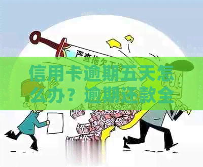 信用卡逾期五天怎么办？逾期还款全面解决方案与指南