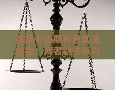 信用卡逾期利息和违约金：两者的关系与影响全解析