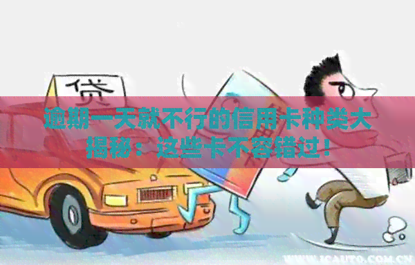 逾期一天就不行的信用卡种类大揭秘：这些卡不容错过！