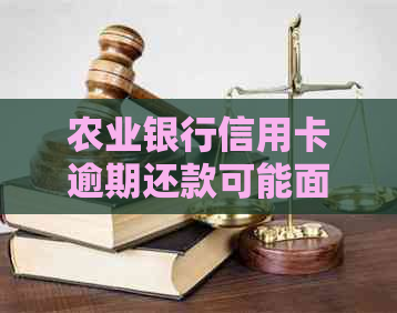 农业银行信用卡逾期还款可能面临的后果及解决方法全面解析