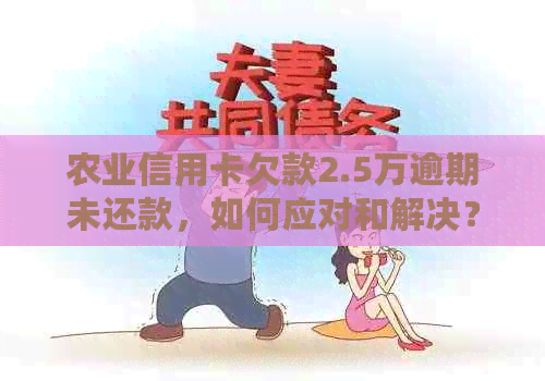 农业信用卡欠款2.5万逾期未还款，如何应对和解决？
