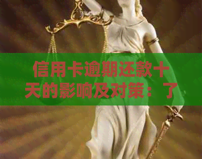 信用卡逾期还款十天的影响及对策：了解您的信用状况