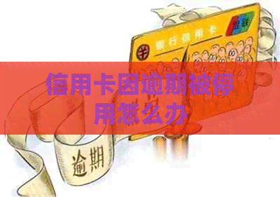 信用卡因逾期被停用怎么办