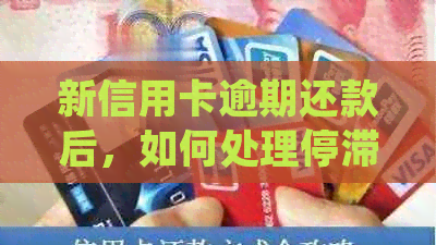 新信用卡逾期还款后，如何处理停滞账户并避免进一步影响？