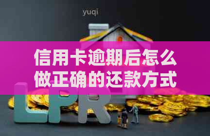 信用卡逾期后怎么做正确的还款方式：欠款处理指南