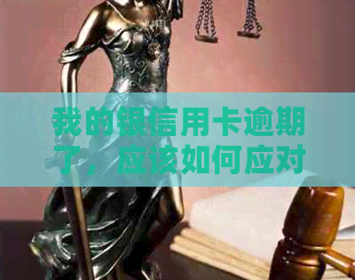 我的银信用卡逾期了，应该如何应对？