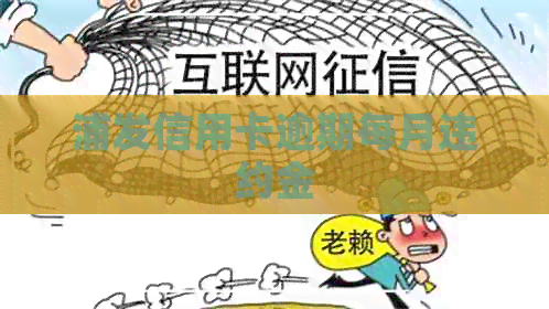 浦发信用卡逾期每月违约金