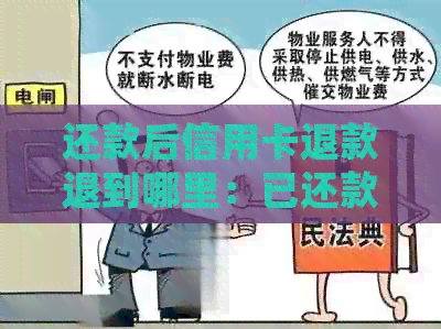 还款后信用卡退款退到哪里：已还款信用卡退款处理方式解析