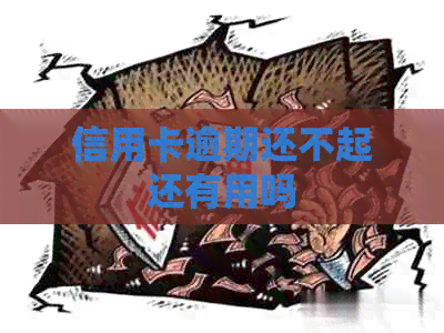 信用卡逾期还不起还有用吗