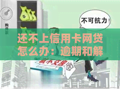 还不上信用卡网贷怎么办：逾期和解决方案全解析