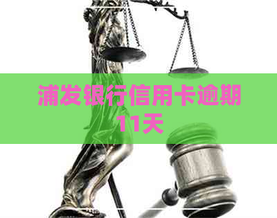浦发银行信用卡逾期11天