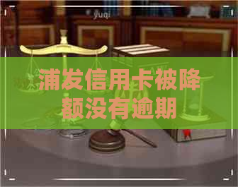 浦发信用卡被降额没有逾期