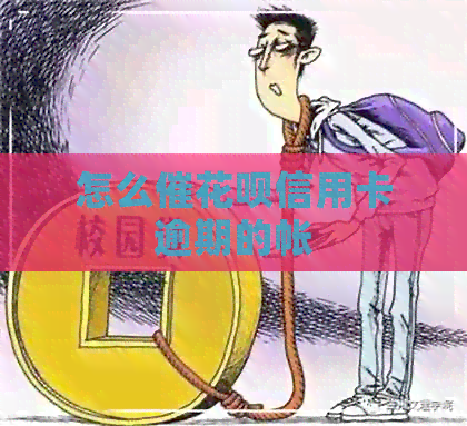 怎么催信用卡信用卡逾期的帐