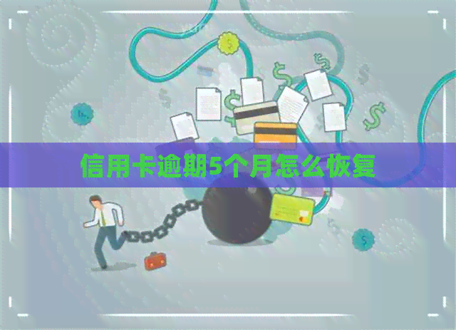 信用卡逾期5个月怎么恢复
