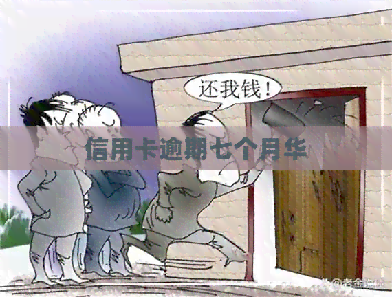 信用卡逾期七个月华