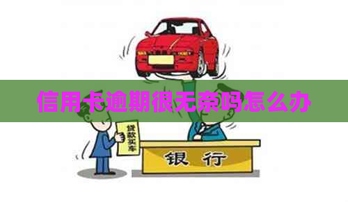 信用卡逾期很无奈吗怎么办
