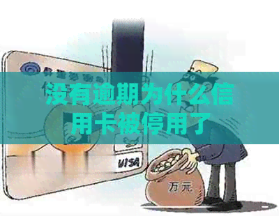 没有逾期为什么信用卡被停用了