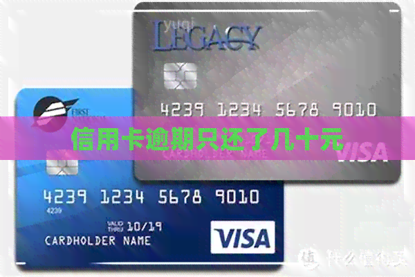 信用卡逾期只还了几十元